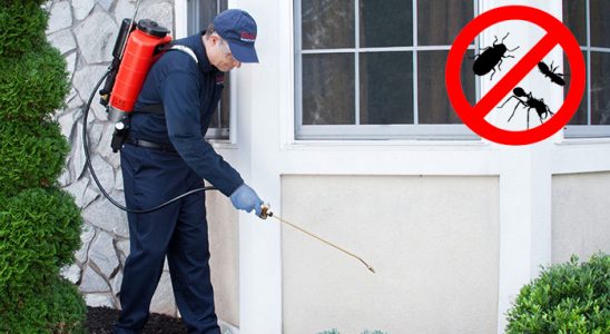 Mucur Gümüşkurt İlaçlama böcek ilaçlama ve haşere kontrolü — ilaclama-tr.com